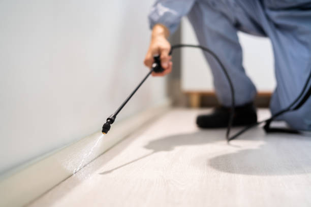 Licensed Termite Control service in Sturtevant, WI - Nex Pest Control