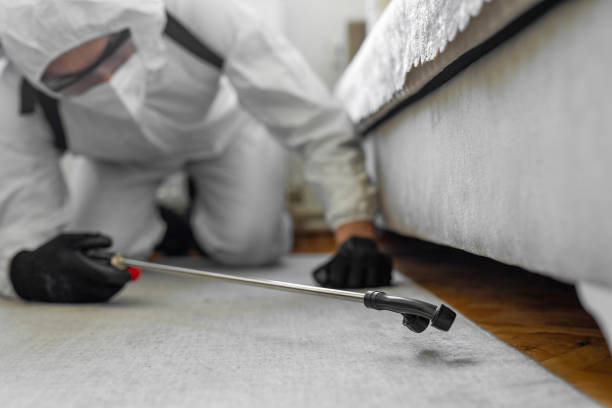 Professional Termite Control technician working in Sturtevant, WI