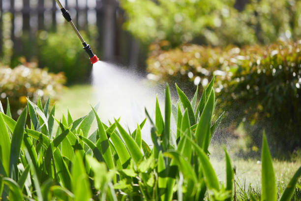 24/7 Emergency Termite Control experts in Sturtevant, WI